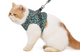Outdoor Travel Pet Harness Leash Set