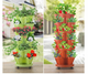 Stackable Plants Pots - 6 Trays+ Wheel Tray