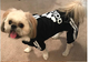 Adidog Dog Hoodie