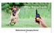 Electric Dog Training Collar with LCD Display