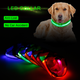 Led Dog Collar