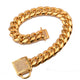 Hip-Hop Stainless Steel Gold Plated Thick Link Large Dog Collar
