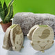 Baby Tooth Keepsake Box Organizer