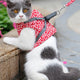 Outdoor Travel Pet Harness Leash Set