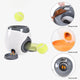 Pet Dog Tennis Reward Machine
