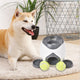 Pet Dog Tennis Reward Machine
