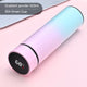 Temperature Display Stainless Steel Thermos