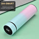 Temperature Display Stainless Steel Thermos