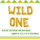 28PCS Wild One Safari Birthday Party Decorations