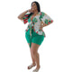 Casual Spring/Summer Plus Size Two Piece Set