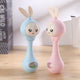Baby Music Flashing Teether Rattle
