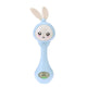 Baby Music Flashing Teether Rattle