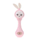 Baby Music Flashing Teether Rattle