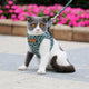 Outdoor Travel Pet Harness Leash Set