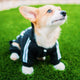 Adidog Dog Hoodie