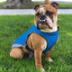 Dog Cooling Vest  S-2XL