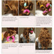 6/8pcs Magic Hair Donuts Curler