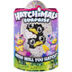 Hatchimals Twin Hatching Egg Surprise