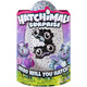 Hatchimals Twin Hatching Egg Surprise