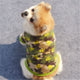 Warm Fleece Pet / Dog  Coat