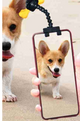 Pet Selfie Stick For IPhone /Samsung/ Xiaomi/ Huawei
