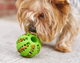 Pet Treat Rubber Ball